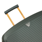 Большой чемодан с расширением Roncato ARCADE 418401/57